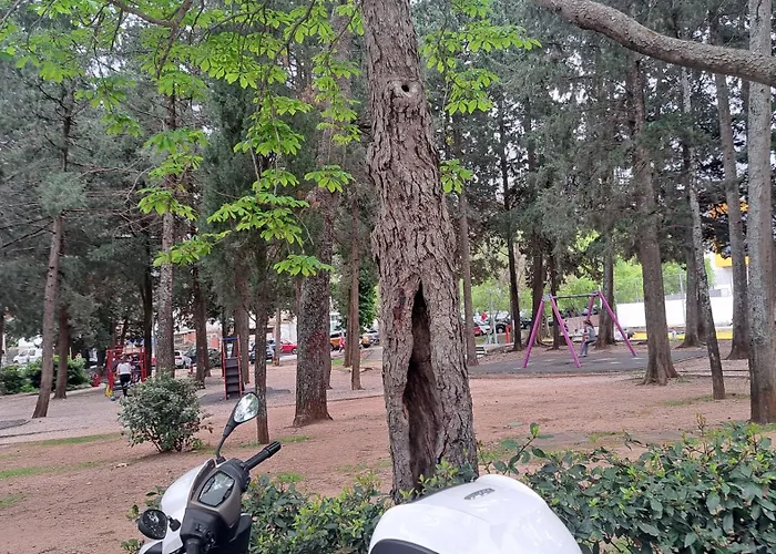 Lorena * דוברובניק